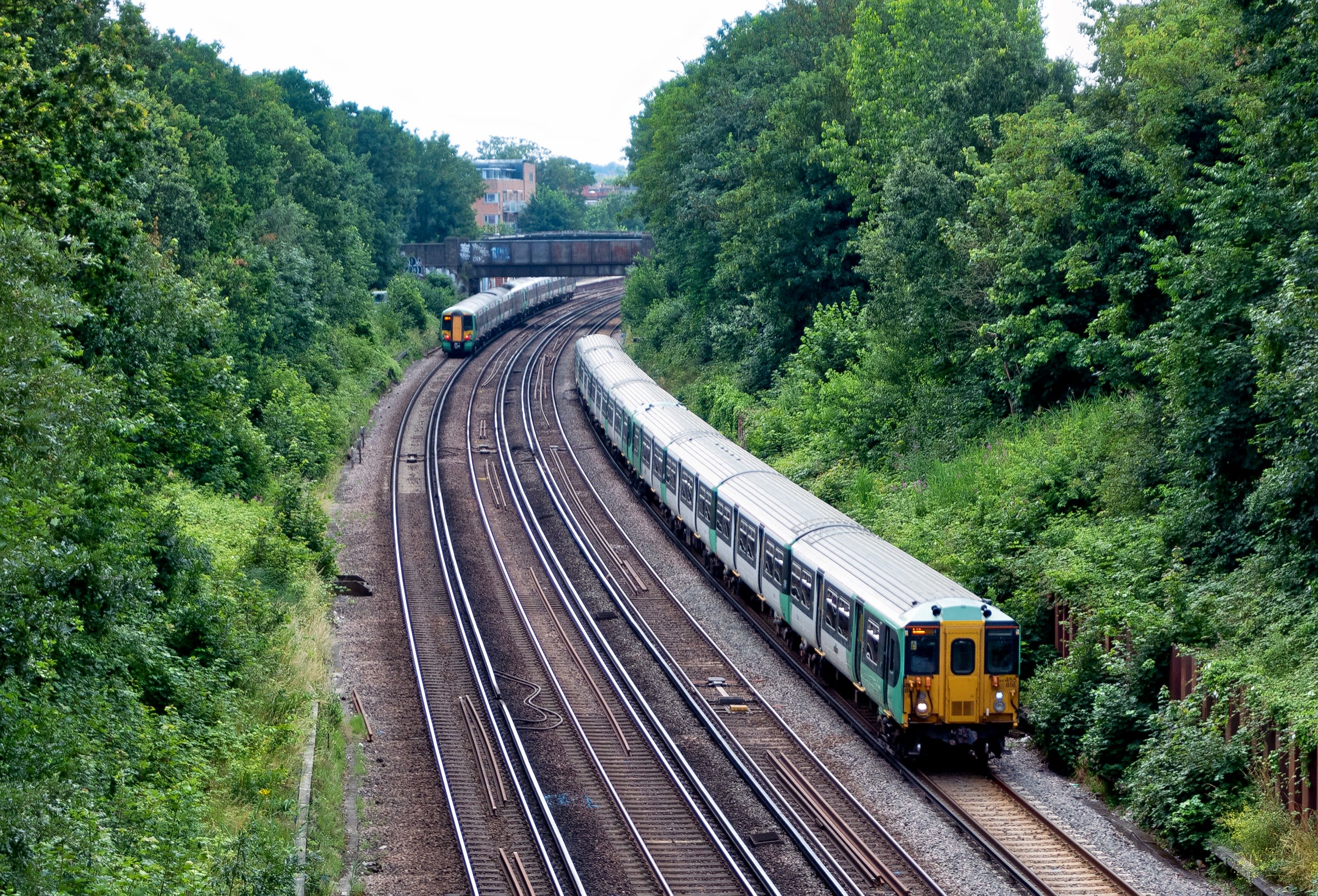Two trains on railway tracks surrounded by trees