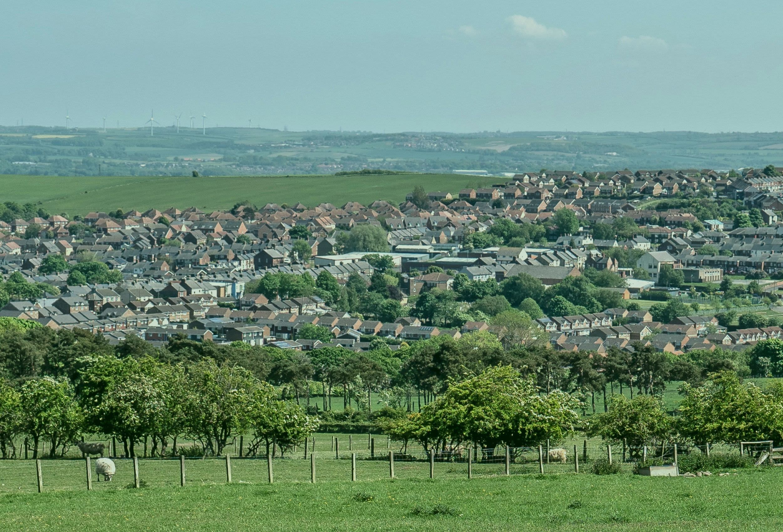 View of village surrounded by trees and green fields