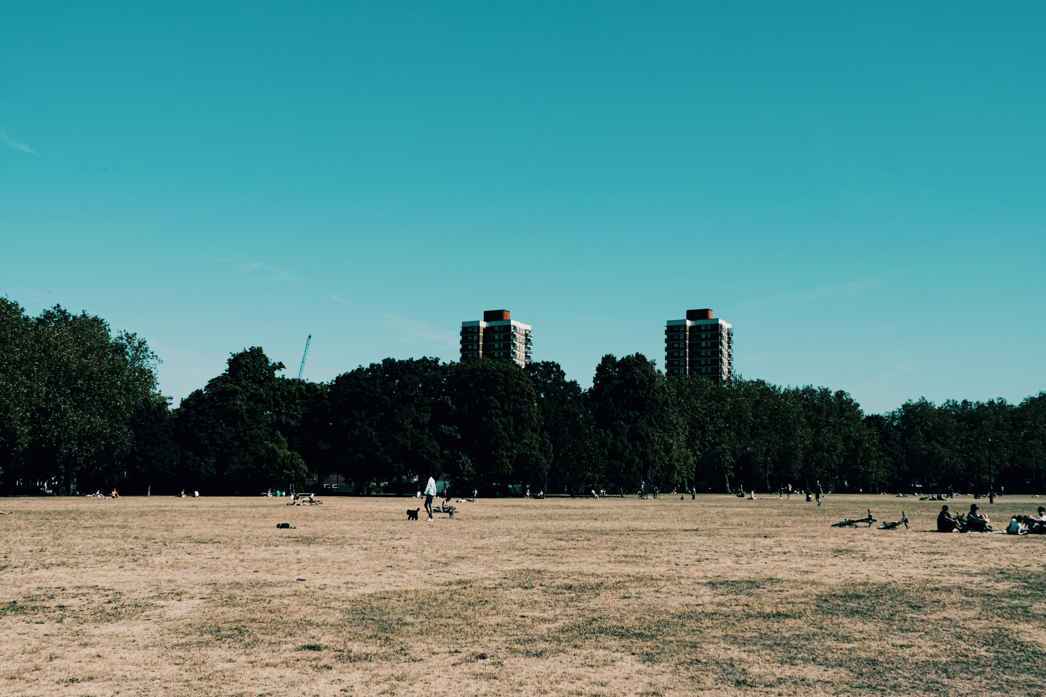 people playing soccer on field during daytime