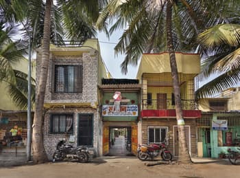 Brightly coloured housing block surrounded by palm trees