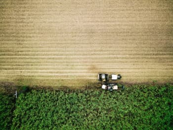 aerial photo of farm