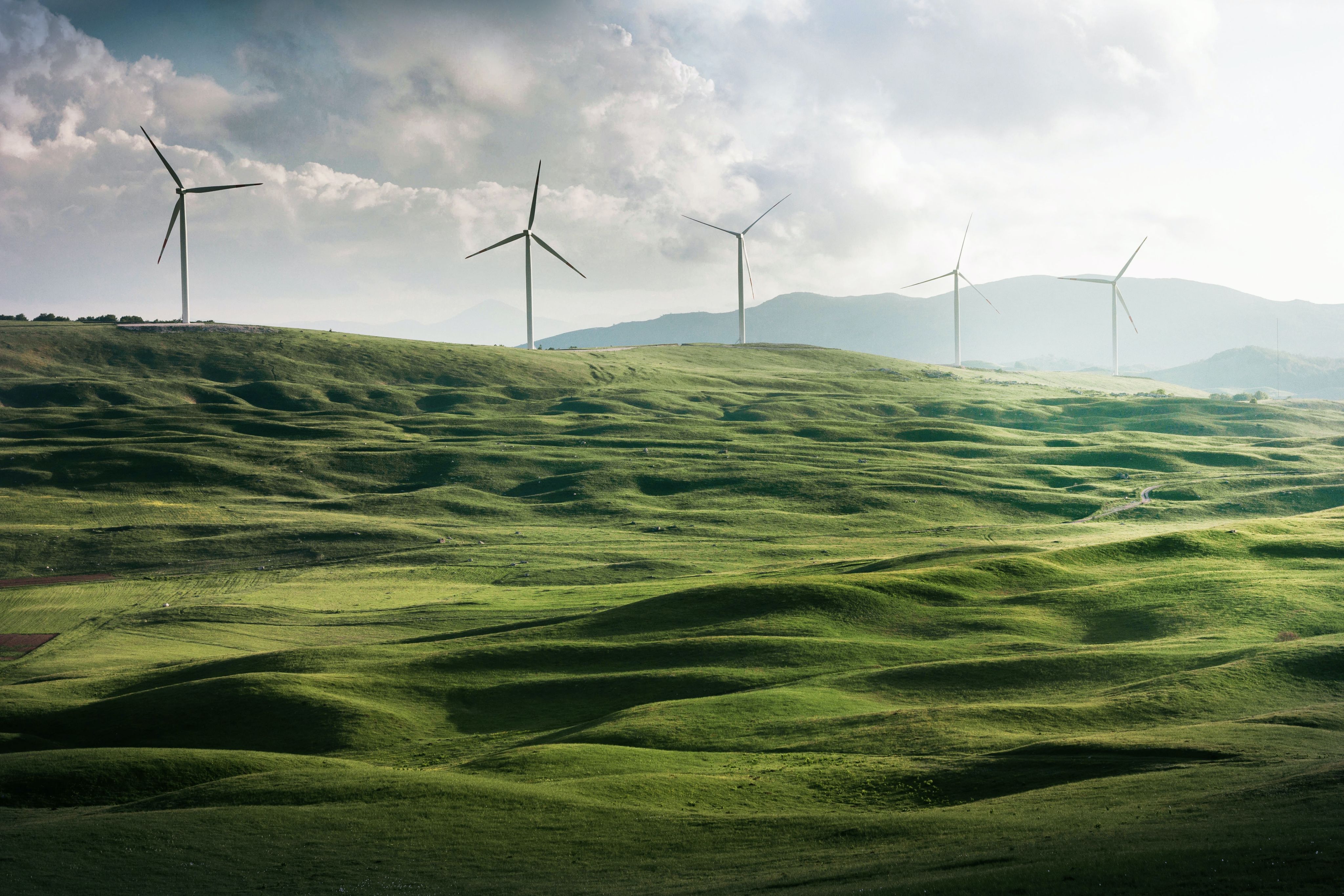 wind turbine surrounded by grass. Photo by Appolinary Kalashnikova on Unsplash