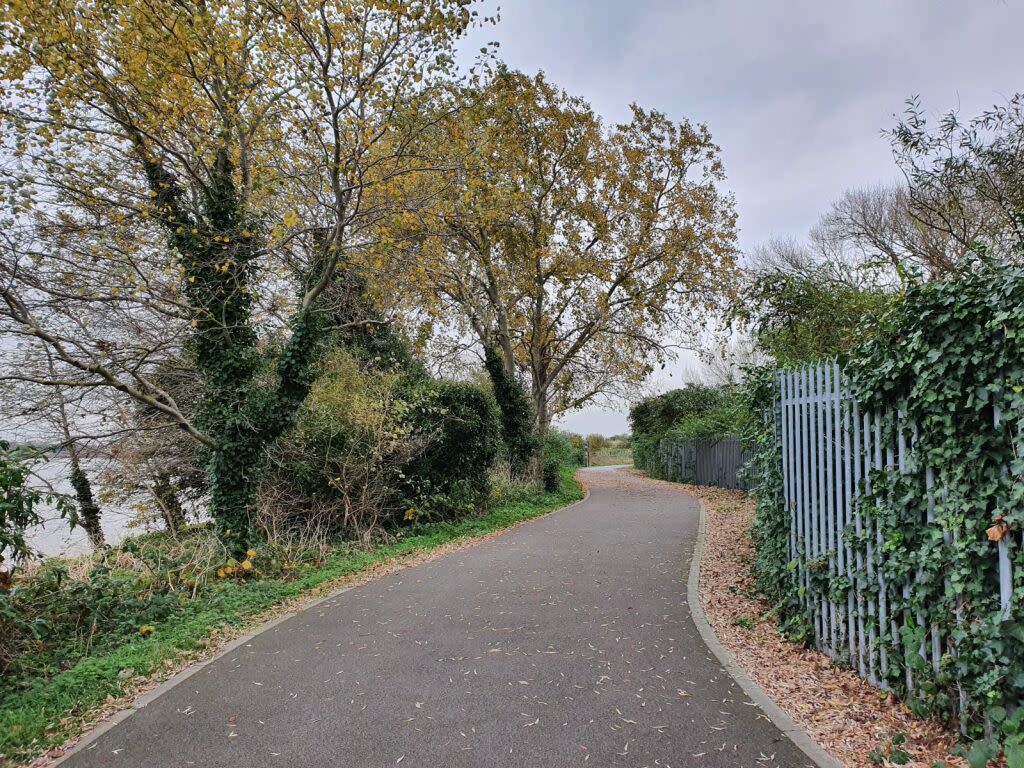 Path in Thamesmead bordered by a metal fence on one side and trees and a lake on the other.