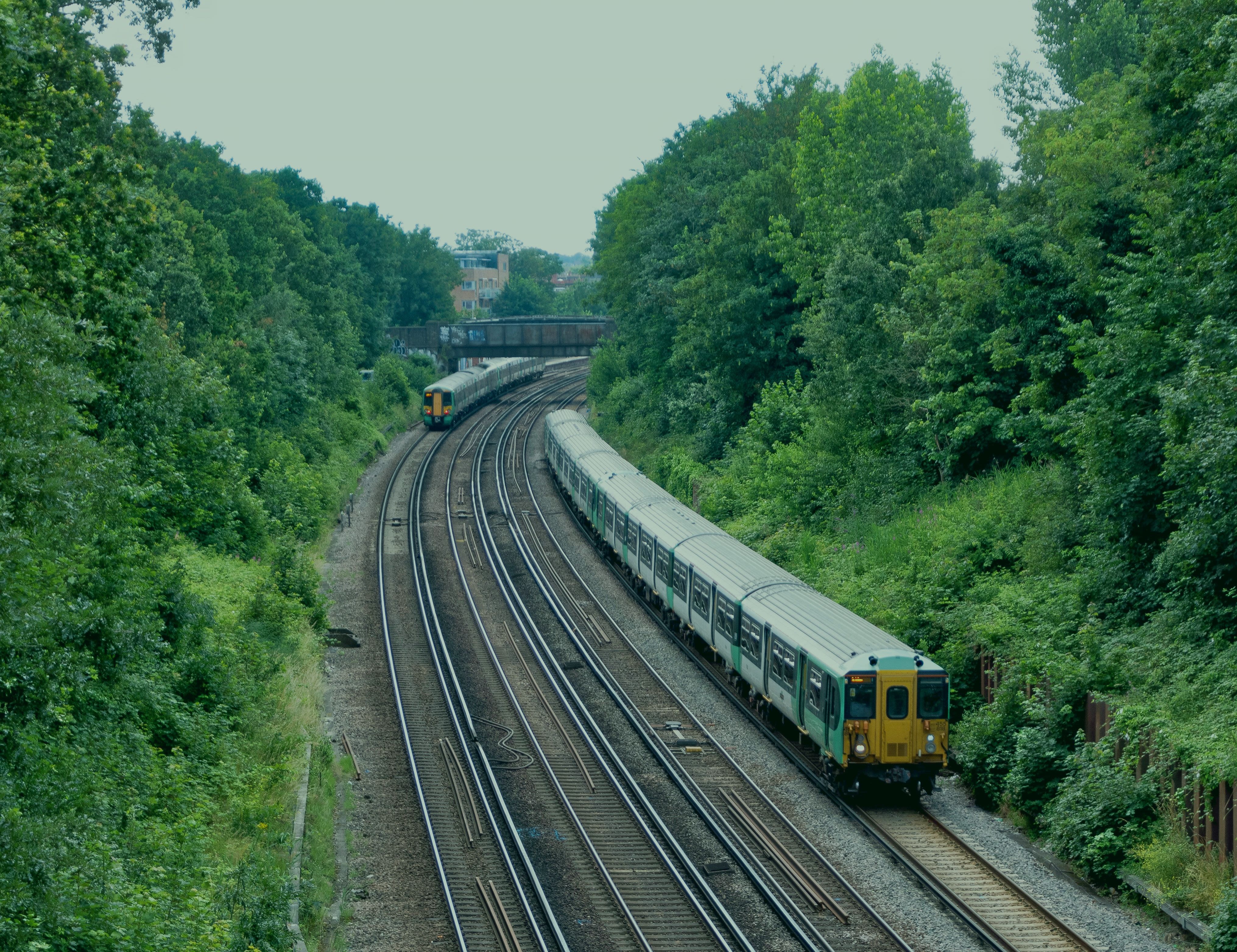 Two trains on rail tracks surrounded by trees