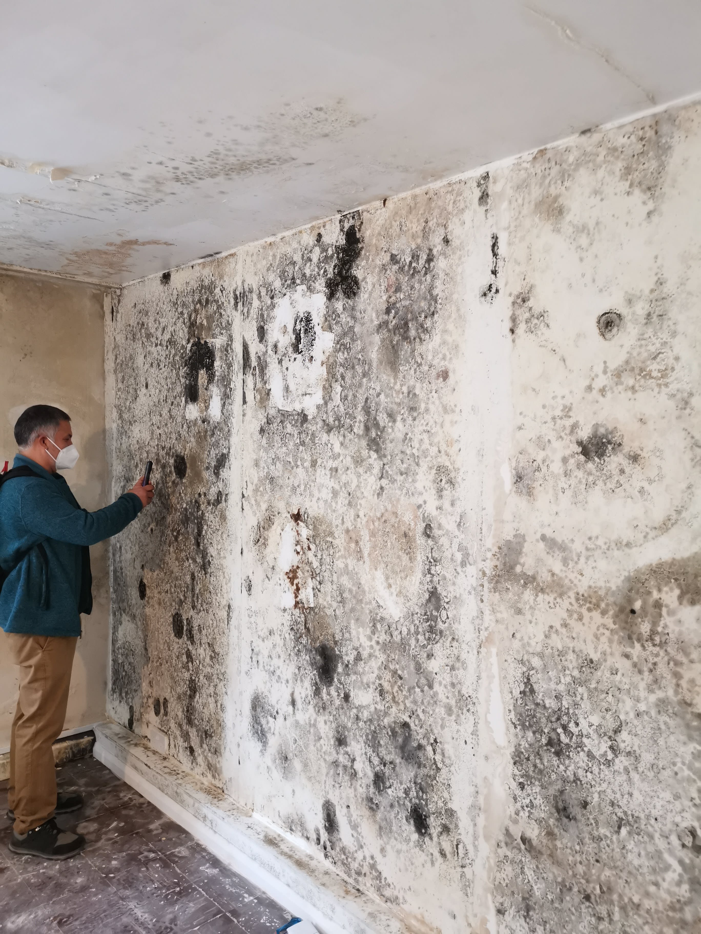Academic sampling mould spores in a room with extensive mould