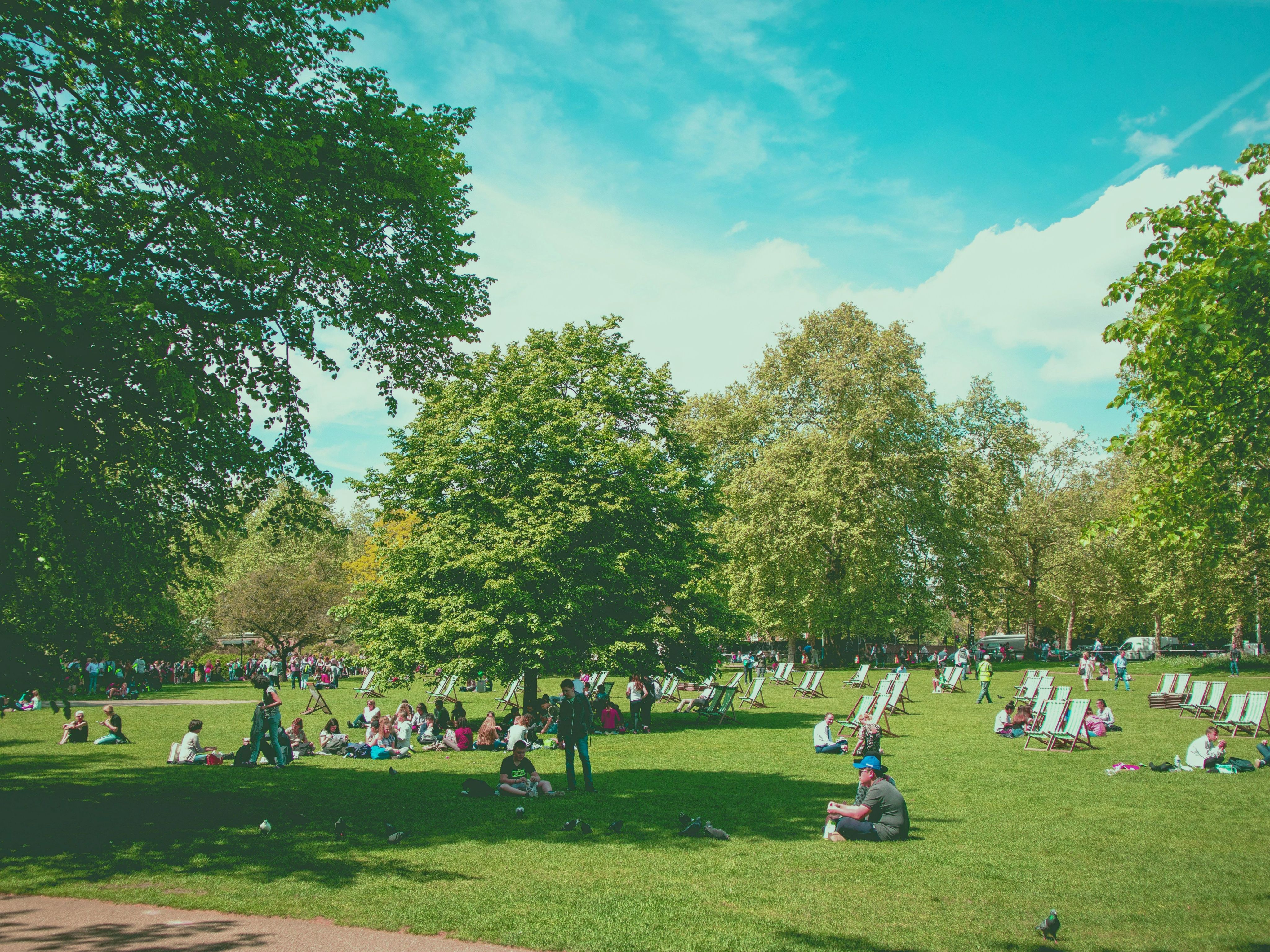 people sitting on green grass field surrounded by green trees during daytime